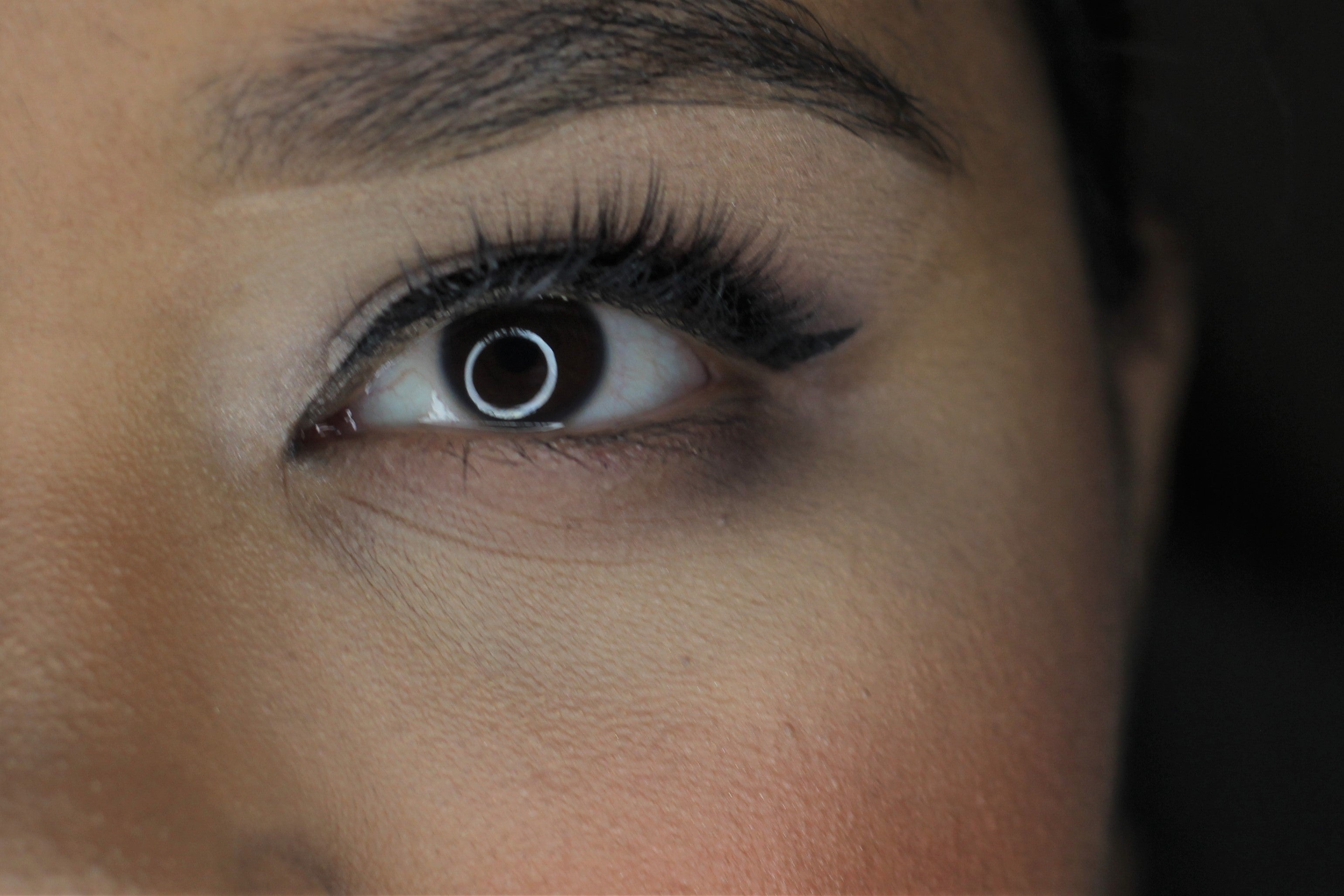 🌼 Daisy Lash Kit – Soft, Natural, & Everyday Chic!